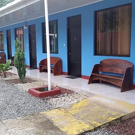 Cabinas Hukats Secret Jungle Puerto Viejo de Talamanca 외부 사진